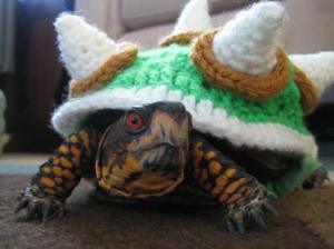 myrtle-in-a-bowser-sweater